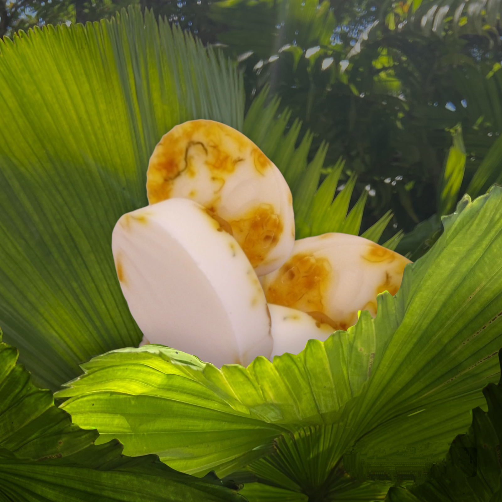 Natural Soap Bars